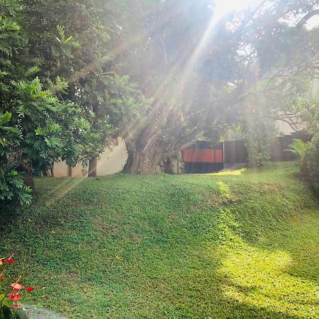 47 Alfred House - Free Pickup From Kandy City ภายนอก รูปภาพ
