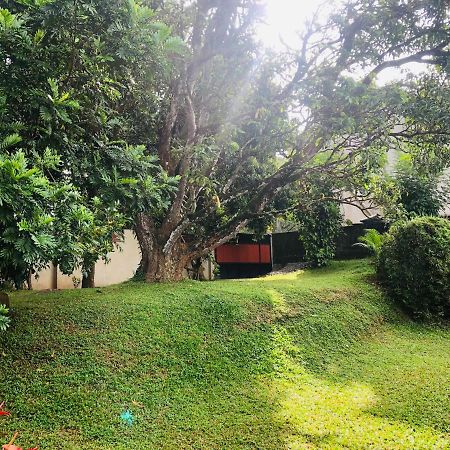 47 Alfred House - Free Pickup From Kandy City ภายนอก รูปภาพ