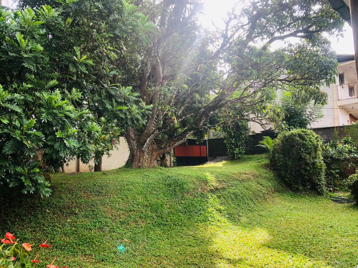 47 Alfred House - Free Pickup From Kandy City ภายนอก รูปภาพ