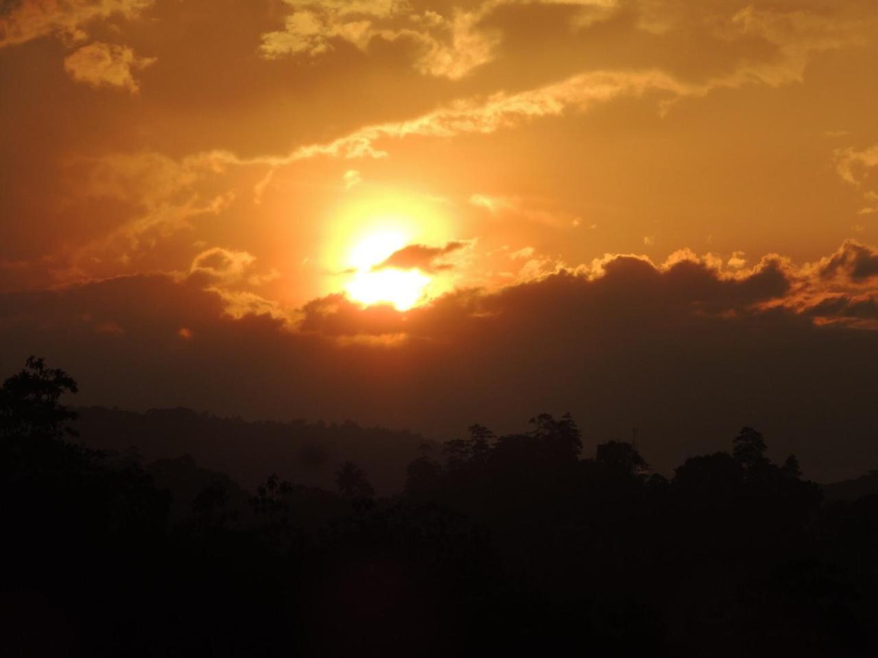 47 Alfred House - Free Pickup From Kandy City ภายนอก รูปภาพ