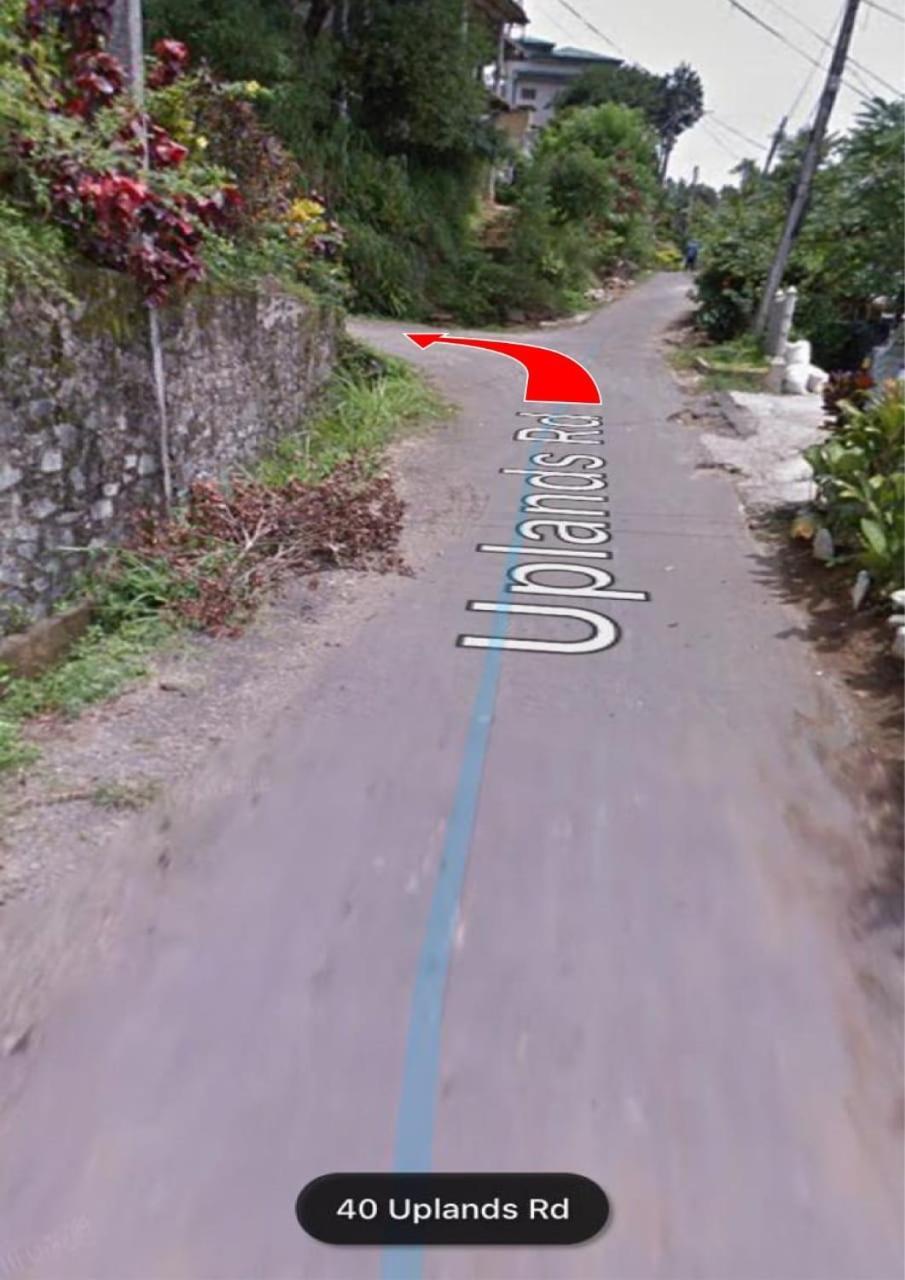 47 Alfred House - Free Pickup From Kandy City ภายนอก รูปภาพ